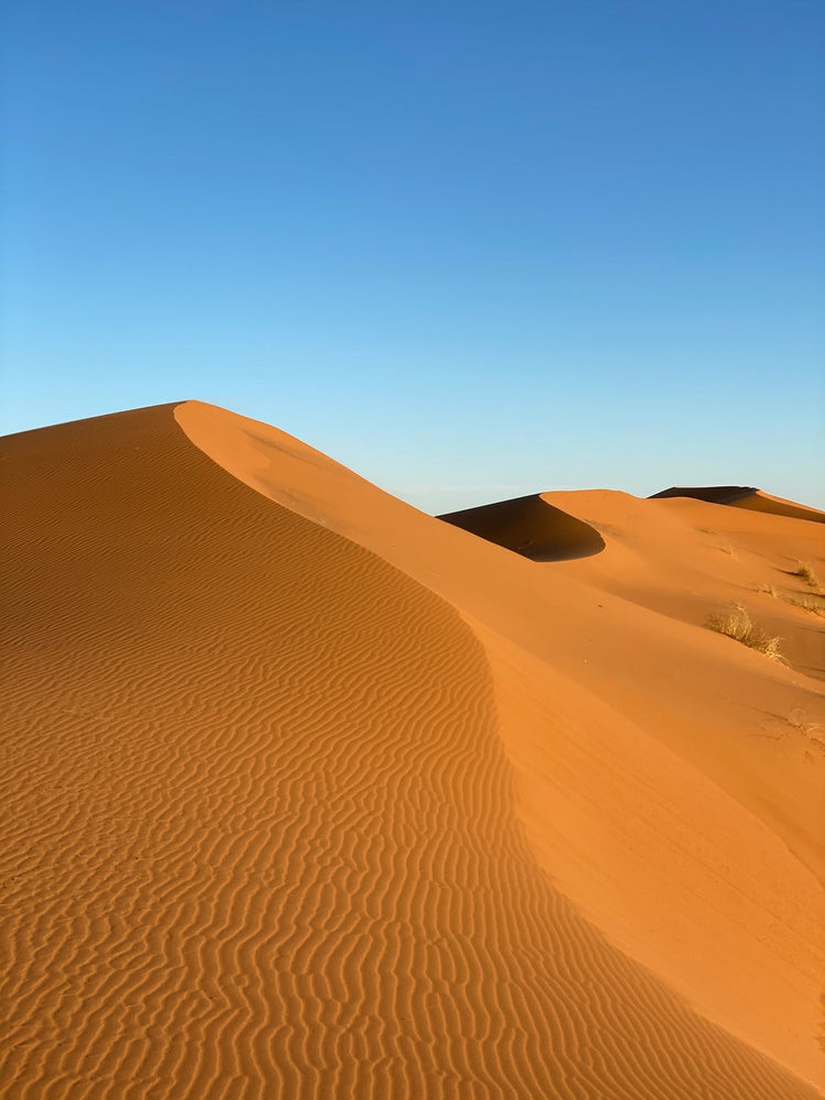 Rippling Sahara dunes at sunset in Erg Chebbi