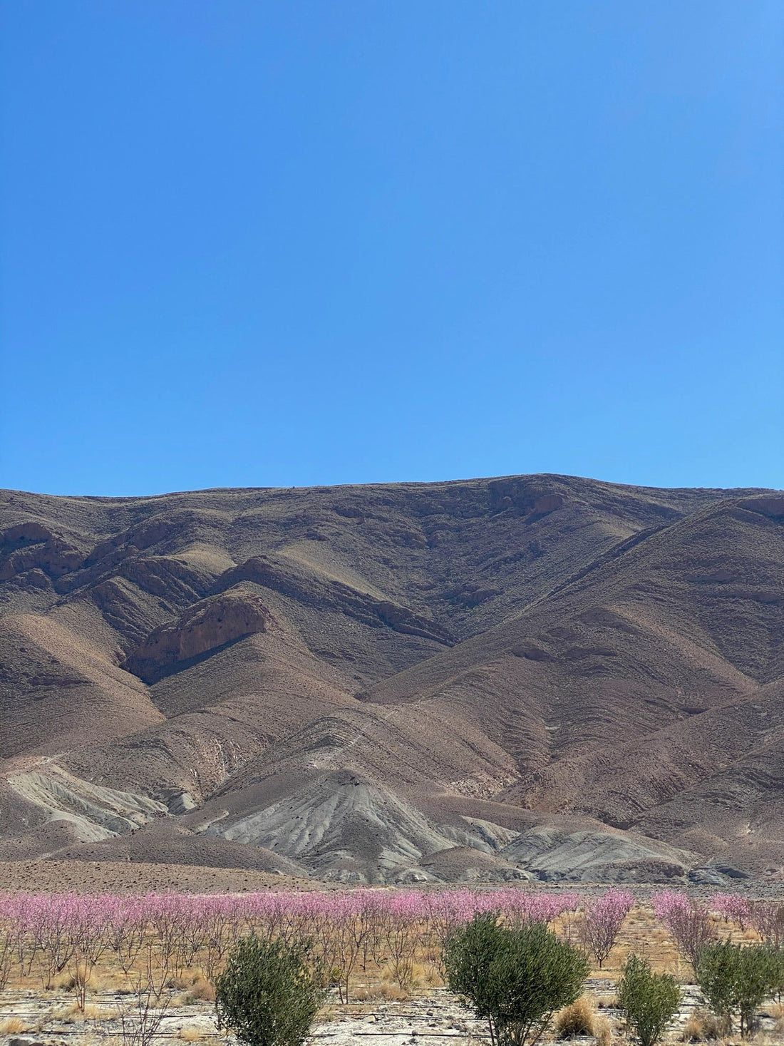 Open road landscapes on the drive from Marrakesh toward the Sahara