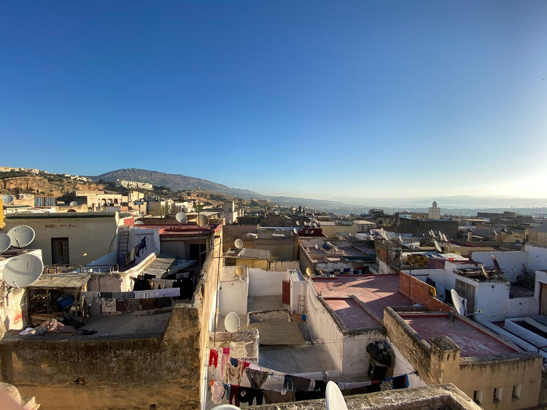 Dense terracotta rooftops stretching across Fes