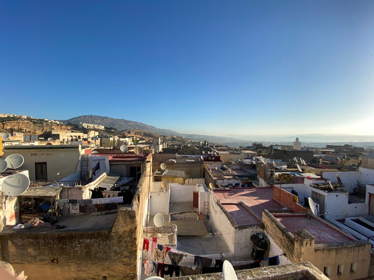 Dense terracotta rooftops stretching across Fes
