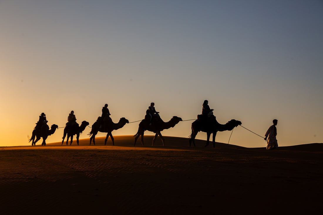 Camel caravan crossing the dunes near Merzouga at sunset