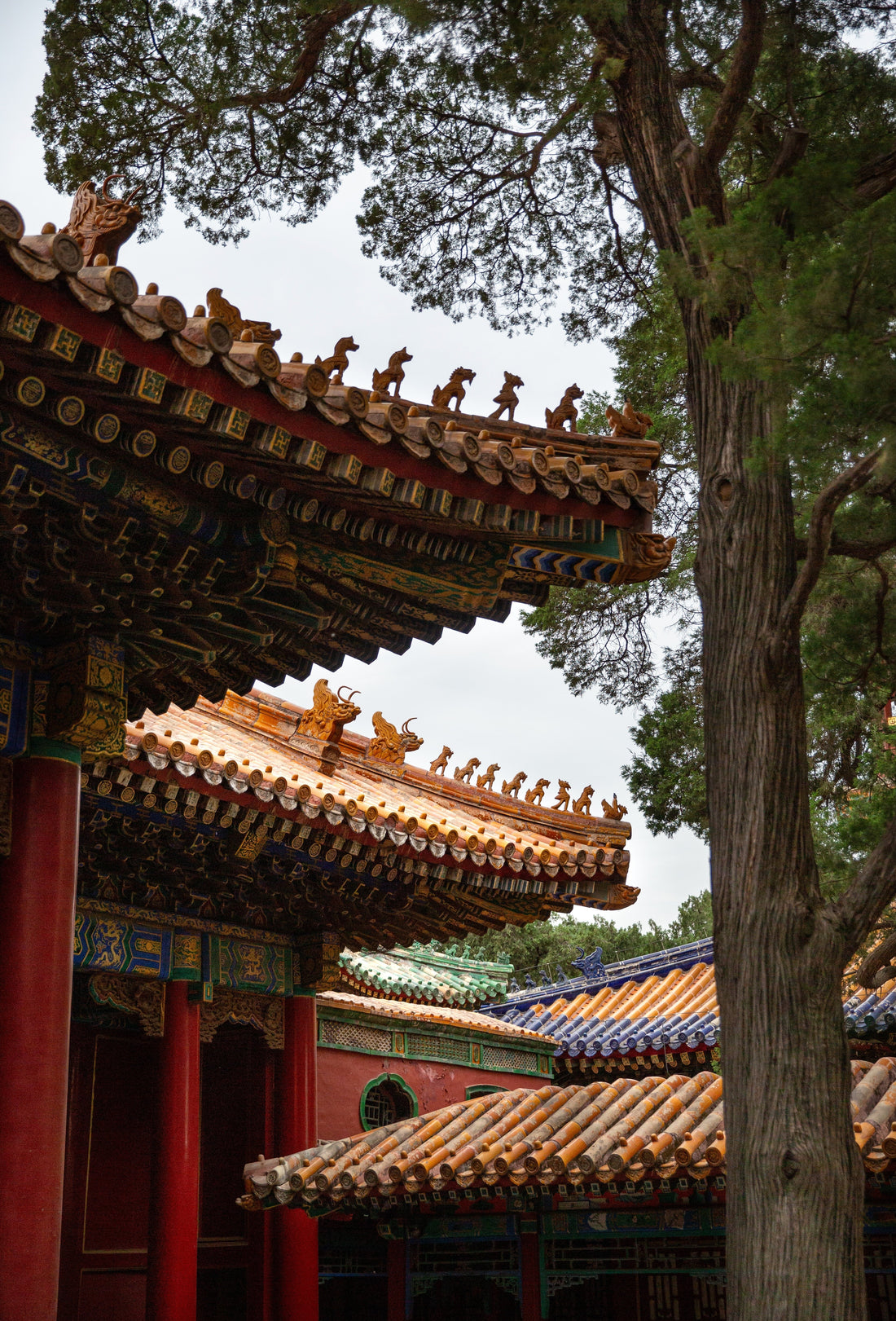 China in 16 Days: The Ultimate First-Timer Itinerary (Beijing → Xi’an → Zhangjiajie → Guilin/Yangshuo → Shanghai)