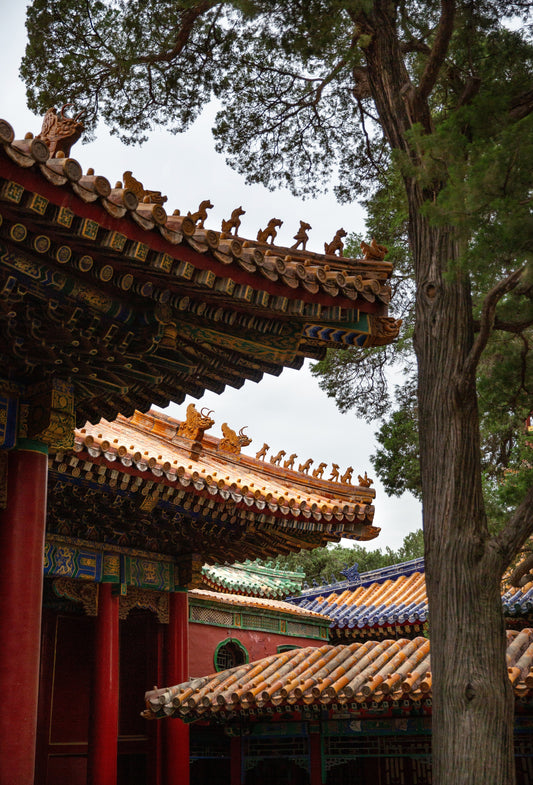 China in 16 Days: The Ultimate First-Timer Itinerary (Beijing → Xi’an → Zhangjiajie → Guilin/Yangshuo → Shanghai)