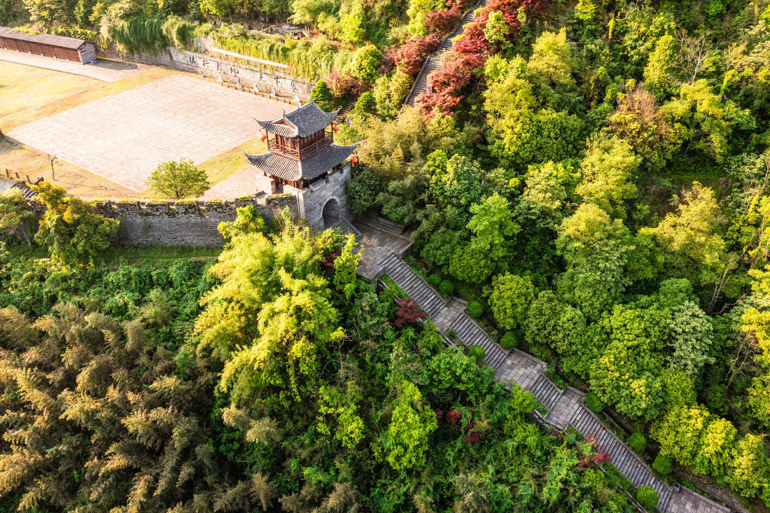 Xi’an in One Day: Terracotta Warriors + Muslim Quarter + City Wall (Logistics-First Guide)