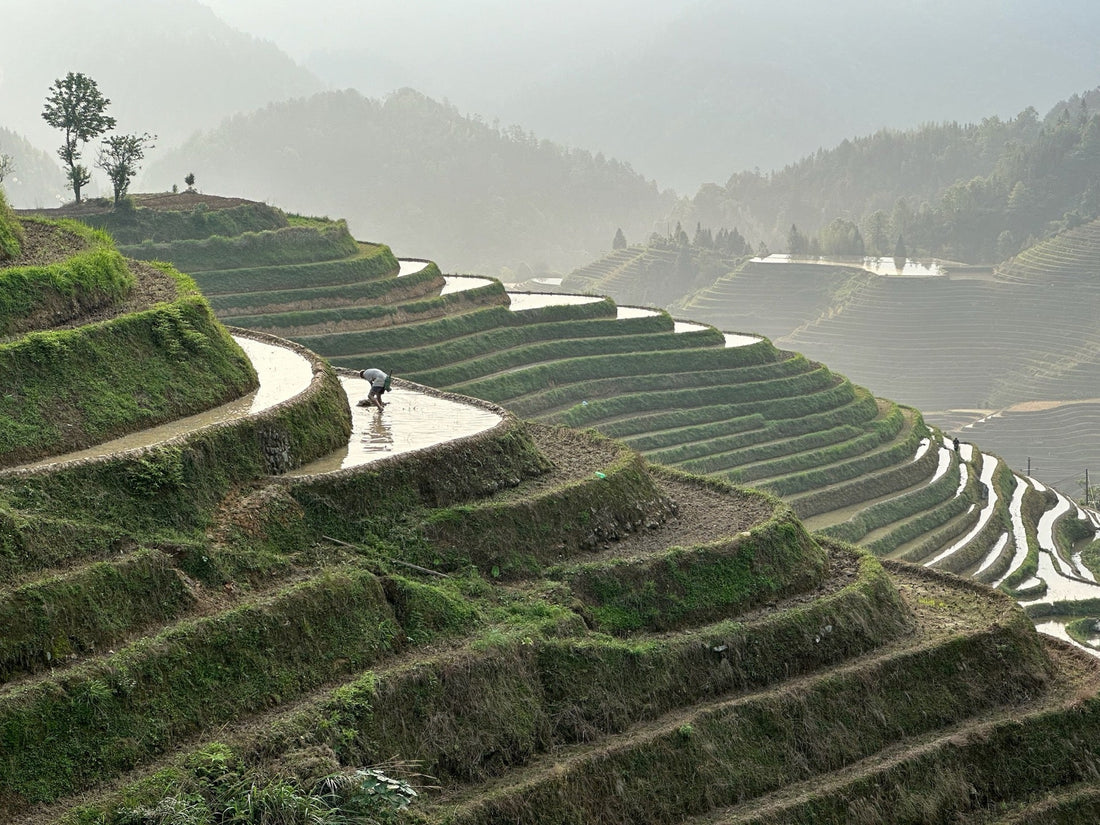Longsheng itinerary: the rice terraces and village-stay lane still missing from the China bench