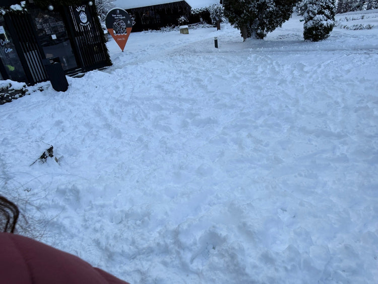 Romania itinerary through Bucharest, Brașov, Sinaia and Bran